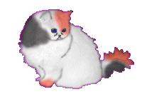 cookiekit.gif